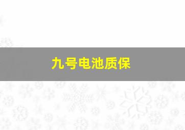 九号电池质保