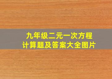 九年级二元一次方程计算题及答案大全图片