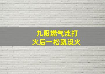 九阳燃气灶打火后一松就没火