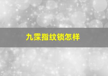 九霂指纹锁怎样