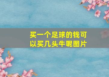 买一个足球的钱可以买几头牛呢图片