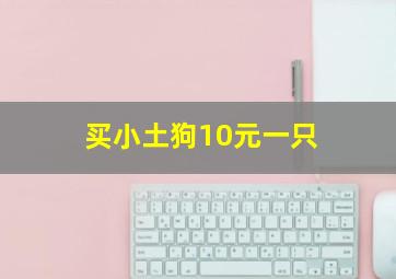 买小土狗10元一只