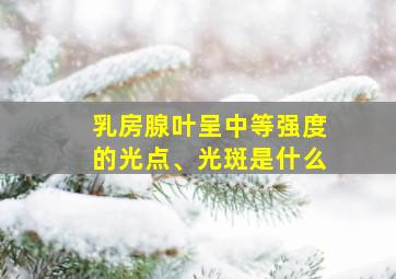 乳房腺叶呈中等强度的光点、光斑是什么