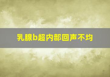 乳腺b超内部回声不均