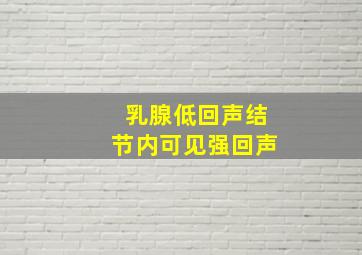 乳腺低回声结节内可见强回声