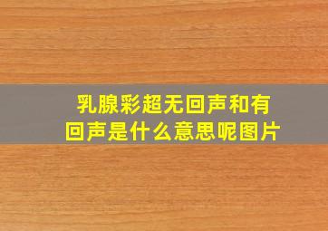 乳腺彩超无回声和有回声是什么意思呢图片