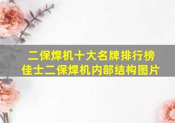 二保焊机十大名牌排行榜佳士二保焊机内部结构图片