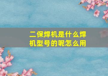 二保焊机是什么焊机型号的呢怎么用