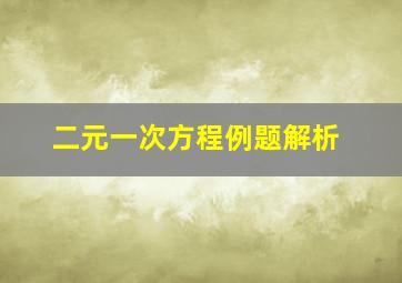 二元一次方程例题解析