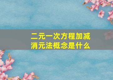 二元一次方程加减消元法概念是什么