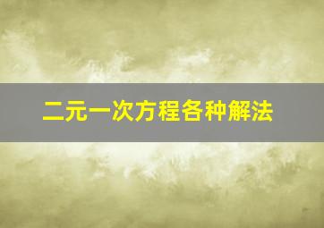 二元一次方程各种解法