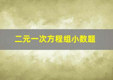 二元一次方程组小数题