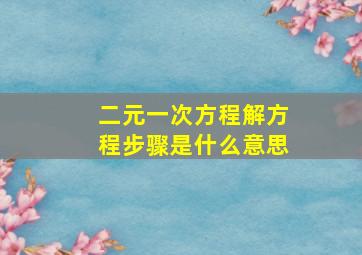 二元一次方程解方程步骤是什么意思