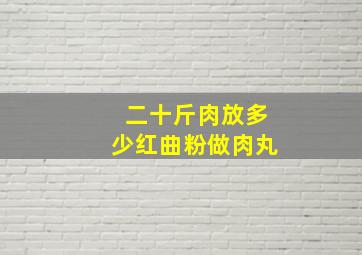 二十斤肉放多少红曲粉做肉丸