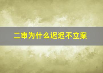 二审为什么迟迟不立案