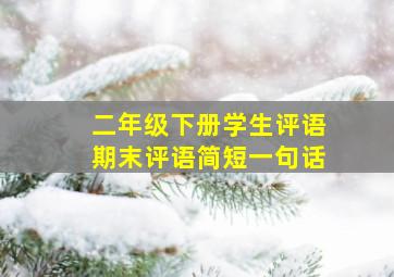 二年级下册学生评语期末评语简短一句话