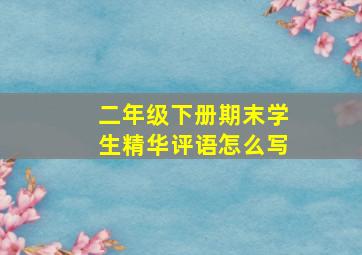 二年级下册期末学生精华评语怎么写