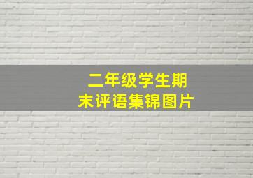 二年级学生期末评语集锦图片