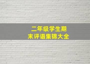 二年级学生期末评语集锦大全