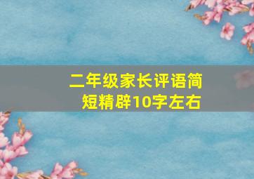 二年级家长评语简短精辟10字左右