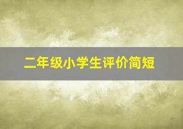 二年级小学生评价简短