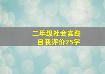 二年级社会实践自我评价25字