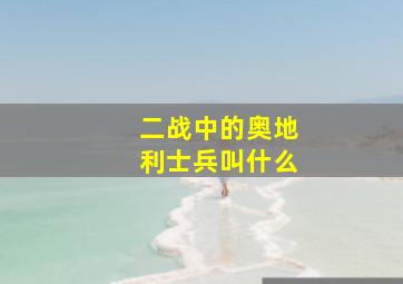 二战中的奥地利士兵叫什么