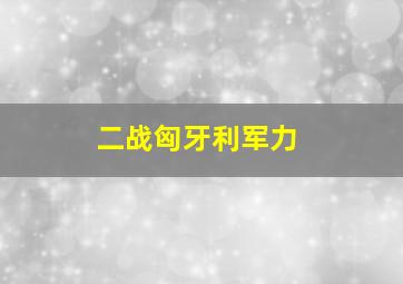 二战匈牙利军力