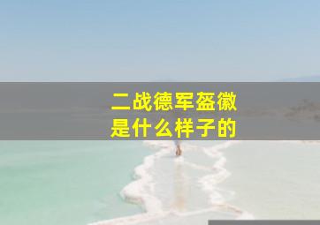 二战德军盔徽是什么样子的