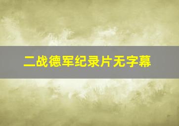 二战德军纪录片无字幕