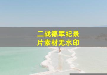 二战德军纪录片素材无水印