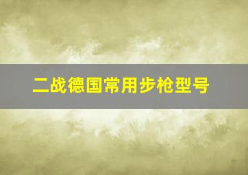 二战德国常用步枪型号