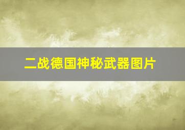 二战德国神秘武器图片