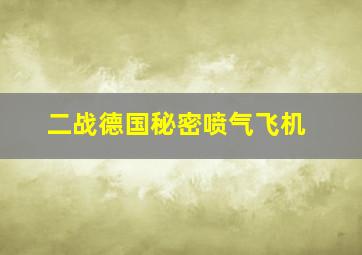 二战德国秘密喷气飞机