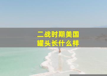 二战时期美国罐头长什么样