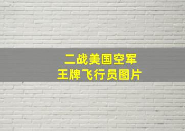 二战美国空军王牌飞行员图片