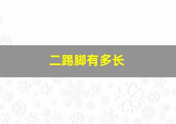 二踢脚有多长