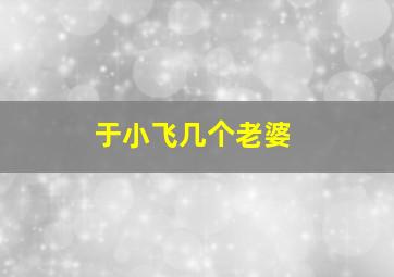 于小飞几个老婆