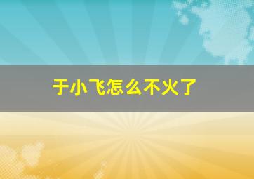 于小飞怎么不火了