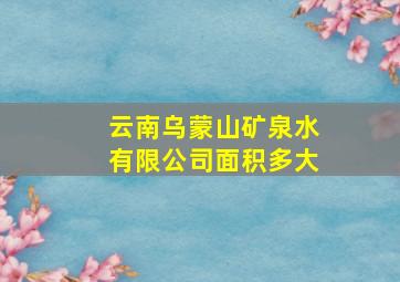 云南乌蒙山矿泉水有限公司面积多大