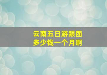 云南五日游跟团多少钱一个月啊