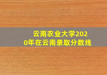 云南农业大学2020年在云南录取分数线