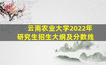 云南农业大学2022年研究生招生大纲及分数线