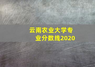 云南农业大学专业分数线2020