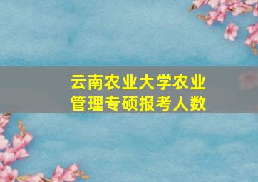 云南农业大学农业管理专硕报考人数