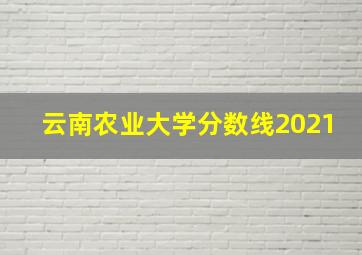 云南农业大学分数线2021