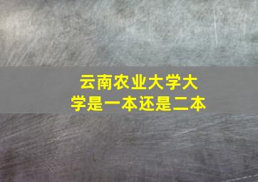 云南农业大学大学是一本还是二本