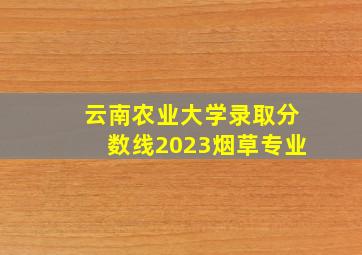 云南农业大学录取分数线2023烟草专业