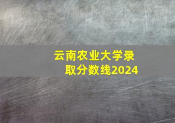 云南农业大学录取分数线2024