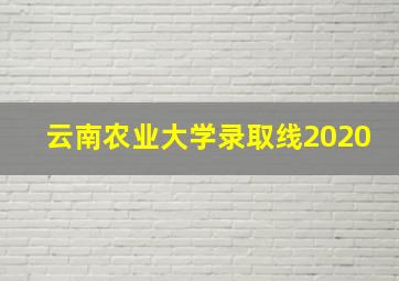 云南农业大学录取线2020